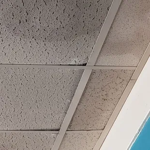 ceiling tiles with water damage.