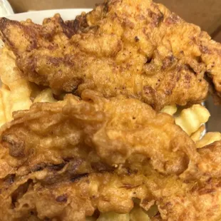 2 Piece Kid's Chicken Strips