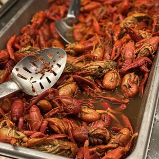 Crawfish