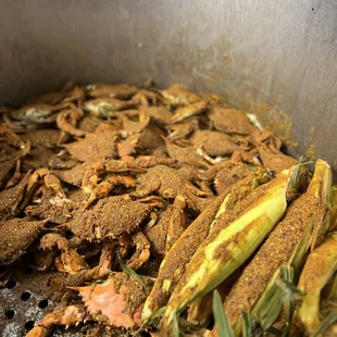 Steamed Maryland crabs