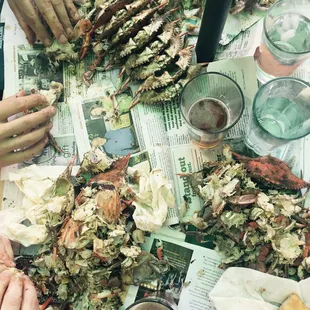 Our backyard experience with 2 dozen steamed female crabs from Capt. Harry's