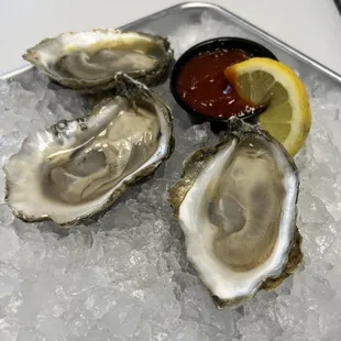 Oysters