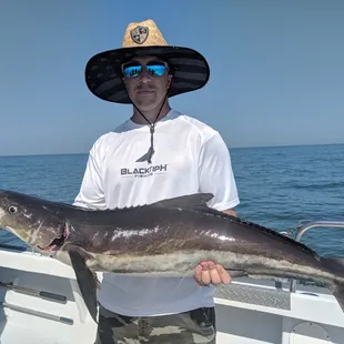 Williamsburg Cobia fishing