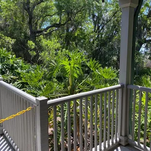 Deck view