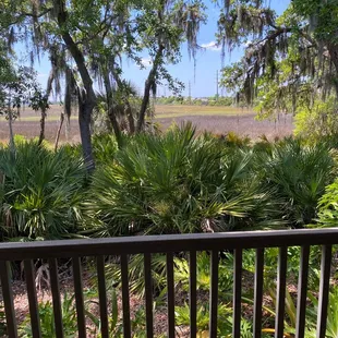 View from patio deck