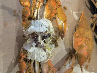 Skipjack’s Crab Deck