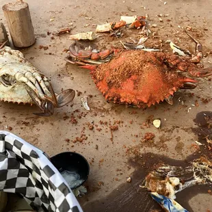 oysters and mussels, food