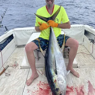 Yellowfin Tuna &quot;AHI&quot;