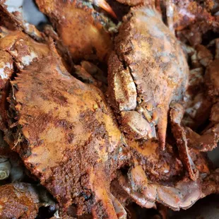a close up of a crab