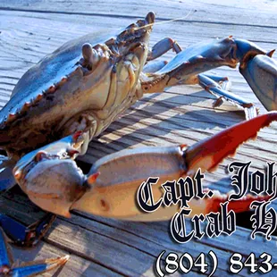Captain Johnny's Crab House