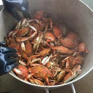 a pot full of crabs