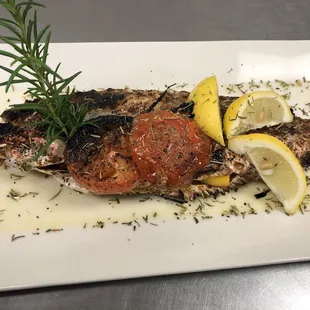 Red snapper from key west Florida, and it was grilled Greek style, expertly preparation by the finest chef in Chatham County.