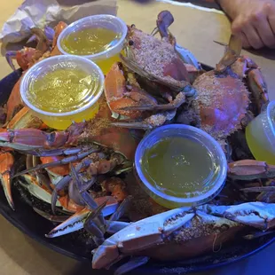 Blue Crabs