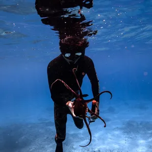 Turtle Canyon Snorkel Tour with Captain Max Boat Tours