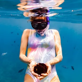 Girl holding an urchin while snorkeling in Waikiki, an unforgettable experience and one of the best fun activities to do in Hawaii!