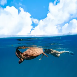 Snorkeling in Waikiki, Honolulu - an unforgettable experience and one of the best fun activities to do in Hawaii!