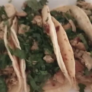 Taco Tuesday - chicken tacos $1
