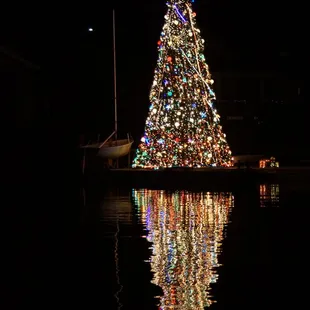 Beautiful Christmas Tree from a Lighted Bay Cruise, December 2018