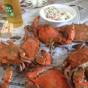 Regular Males..$40 a dozen. They were meaty and fresh.
