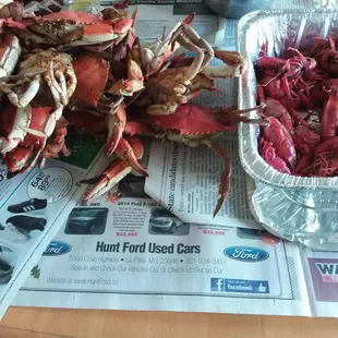 Crayfish Southern Maryland Seafood, Crabs Captain Mo&apos;s