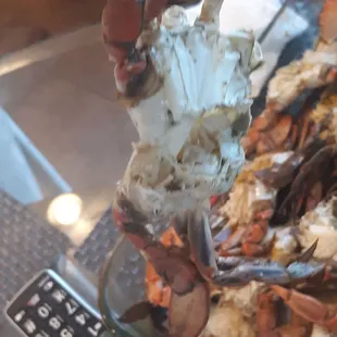 a crab being lifted by a fork