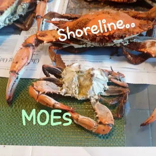 Jumbo Crabs