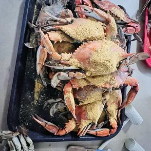 Large Crabs