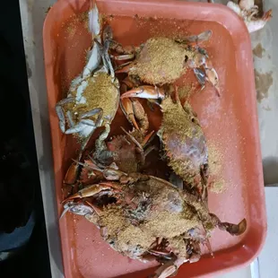 6 female crabs of auce.