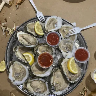 Dozen Fresh Oysters