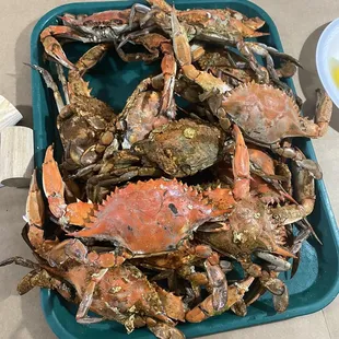 1 Dozen Large Crabs