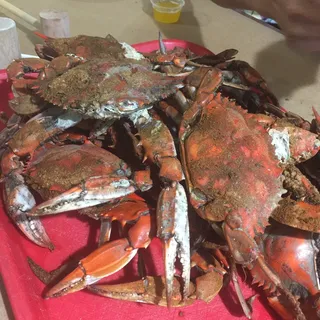 1 Dozen Large Crabs