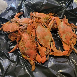 NICE SIZE CRABS N THEY WERE HEAVY.
