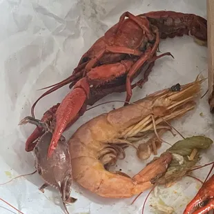 Boiled crawfish, boiled shrimp, and a little crab got in there!