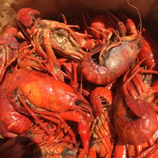 Crawfish, 3.25 a lb. with card. Very fresh and juicy. I&apos;ve stopped by 20 minutes before closing and still got them fresh from the boiler.