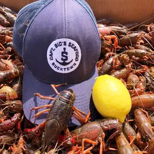 lobsters and a lemon