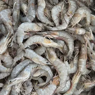 Fresh 16/20 Shrimp!