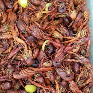 Hot Boiled Crawfish!!!