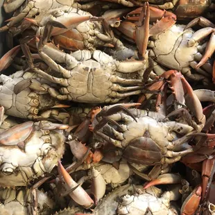 Hot Boiled Crabs!!!