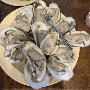 Dozen oysters