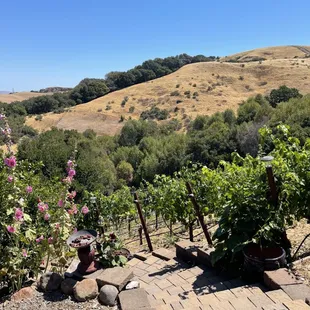 Captain Vineyards in full of breathtaking views like this one!