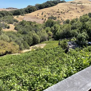 You can see the little seating area on the right where we enjoyed our wines and cheese plate!