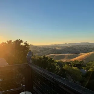 Sunset @ Captain Vineyards.