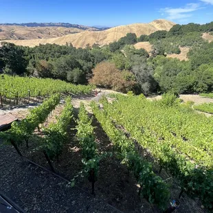 The view from the tasting area