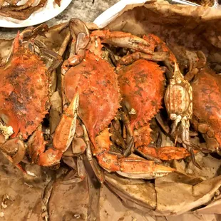 11 XL males and 1 S female?