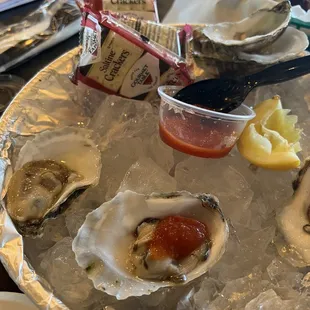 Oysters on the Half Shell