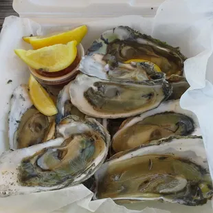 Raw Oysters