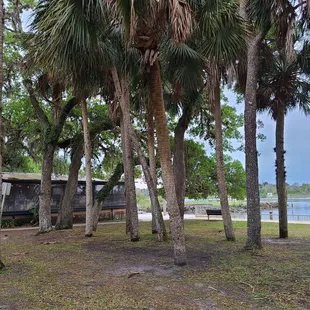 Outdoor park seating area at the restaurant.