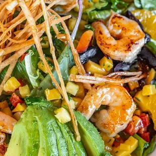 Shrimp Avocado Salad