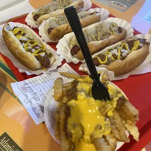 Texas Dog