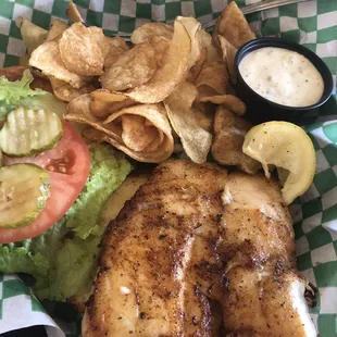 Grilled grouper sandwich
